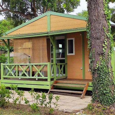 Готель Casa Di Marina - Chalet Bungalow Sorbo-Ocagnano Екстер'єр фото